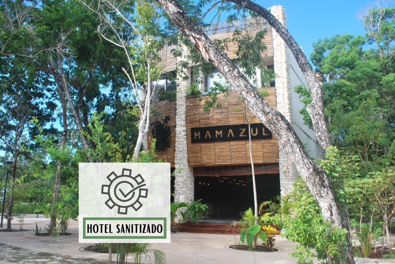 Hotel Mamazul 图卢姆 外观 照片